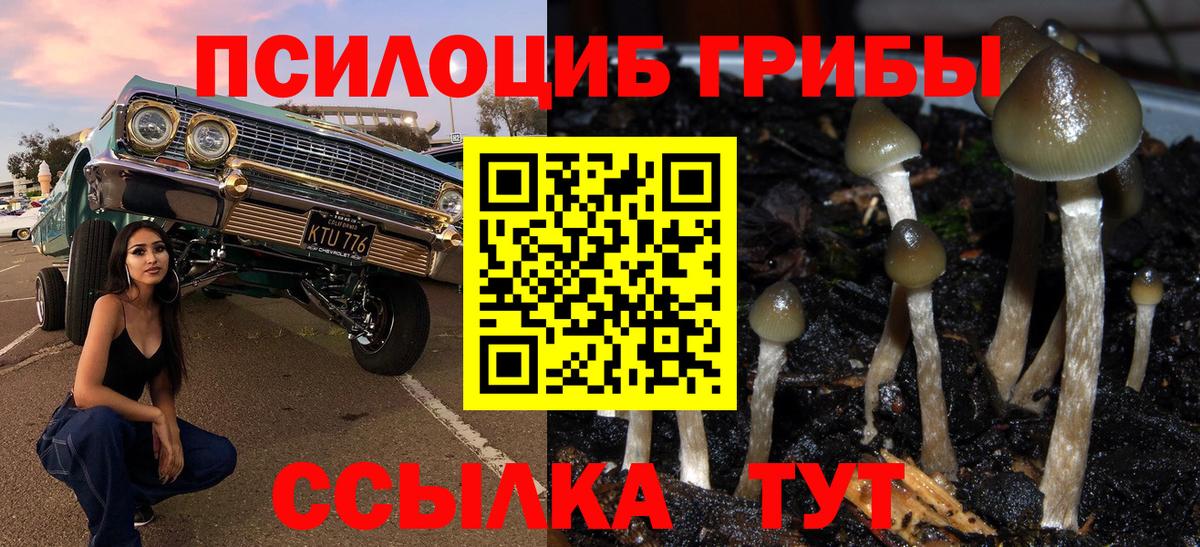 Псилоцибиновые грибы мицелий  Вход с VPN  Костомукша 