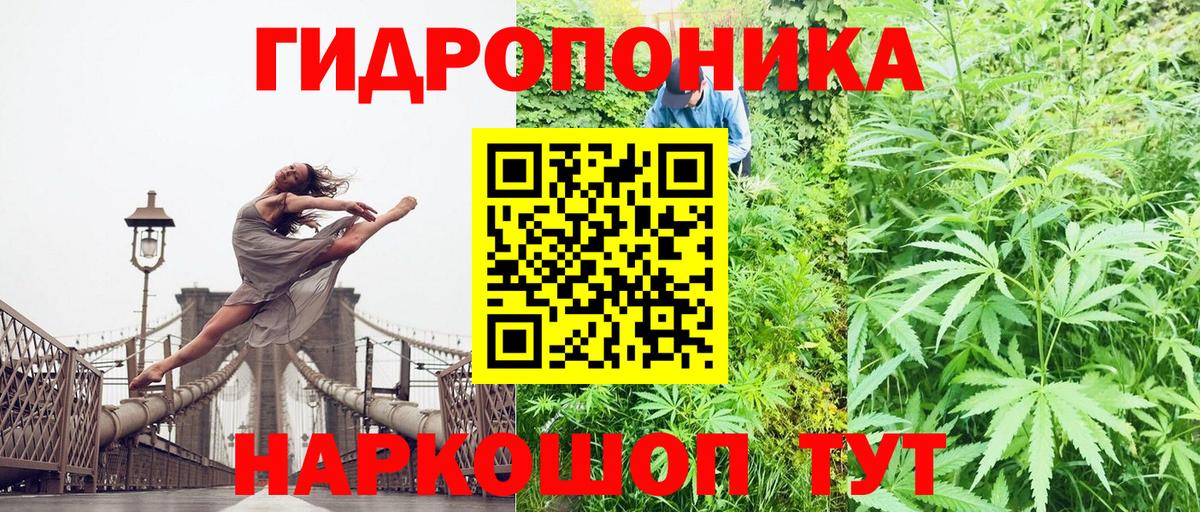 Бошки Шишки White Widow  Каннабис THC 21%  Вход с VPN  Марихуана AK-47  Костомукша 